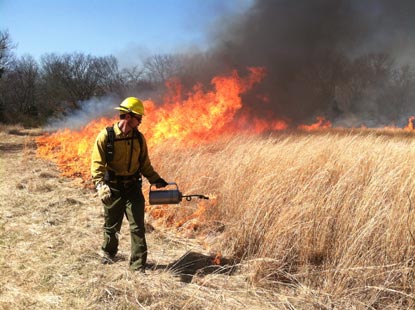 A firefighter lights a grass fire using a drip torch.