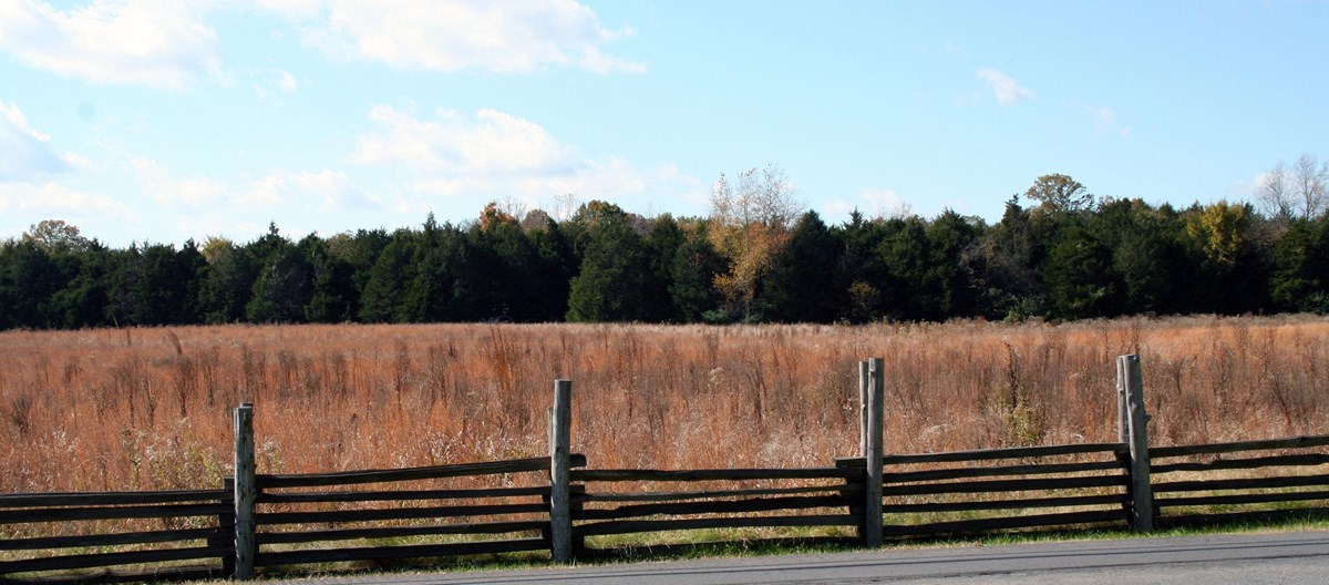 A wooden stacked rail fence runs across the foreground. Behind the fence is a field of tall brown grass. A forest is in the background. The sky is light blue with wispy clouds.