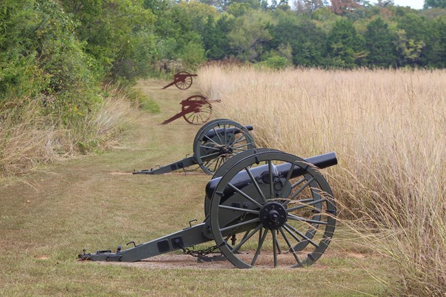 A line of two Civil War cannons and two metal cannon silhouettes with tall grass in front and a mowed trail behind.