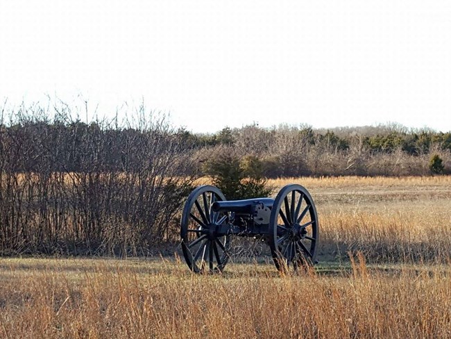 A cannon sits in a brown grass field. Trees can be seen in the distance.