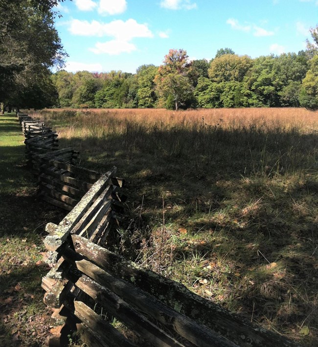 A snake rail fence borders a field of tall grasses with a tree line in the distance.