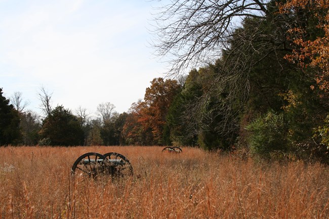 A cannon sits in a field of tall, brown grass. Behind the cannon to the right is a tree line showing fall colors.