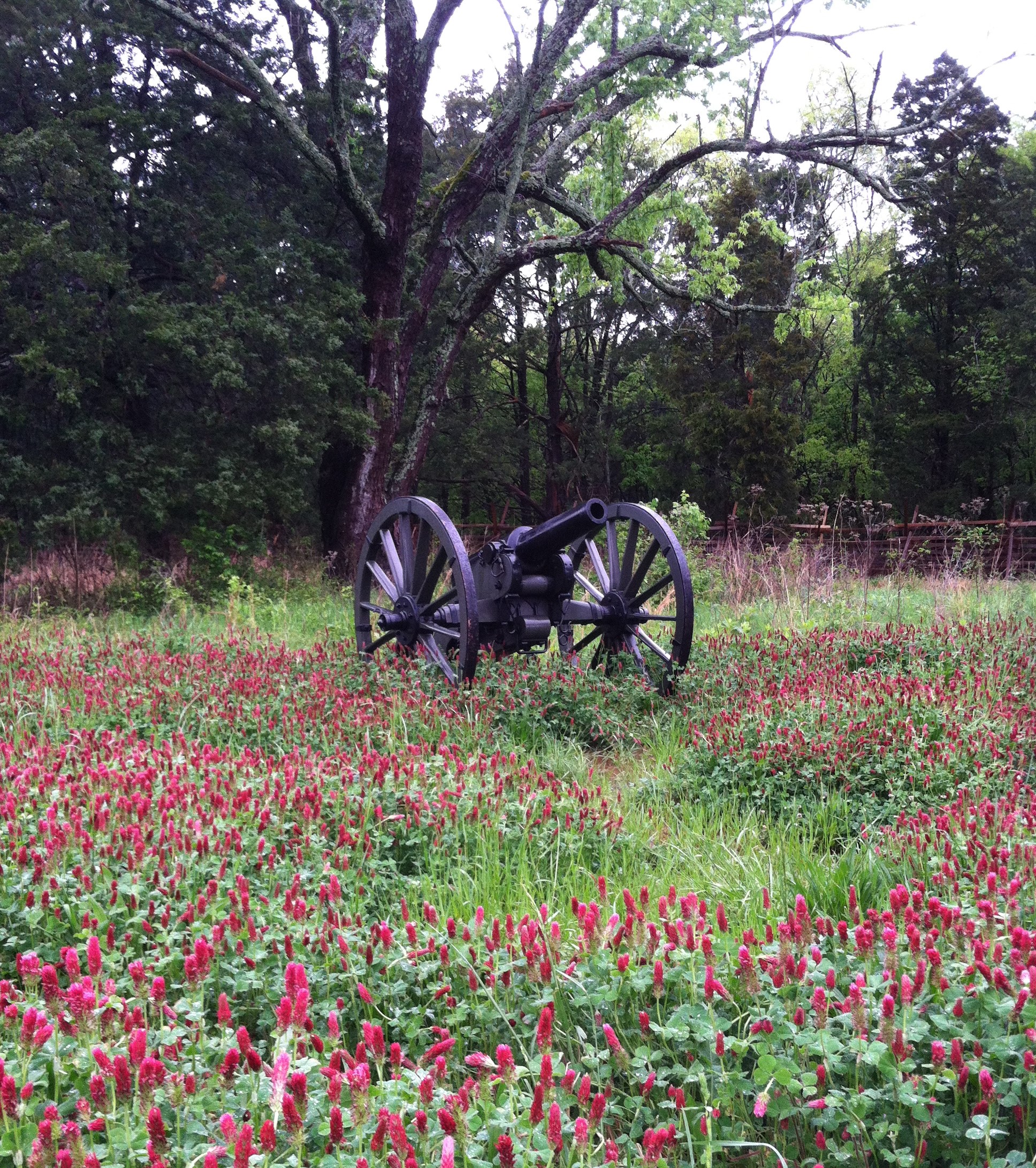 Tour Stop 2 The Slaughter Pen Stones River National Battlefield (U.S. National Park Service)
