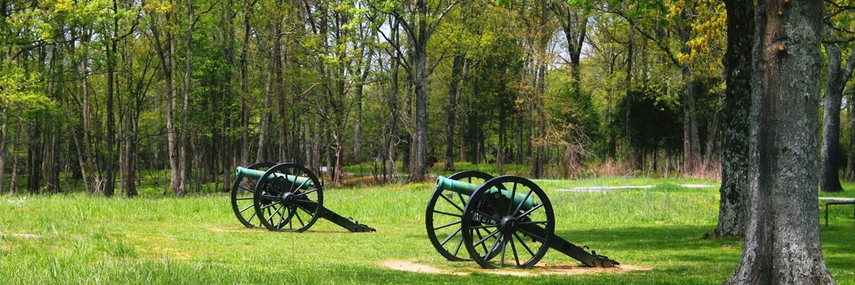 Two cannons overlook a field with a grey rock outcropping in the foreground