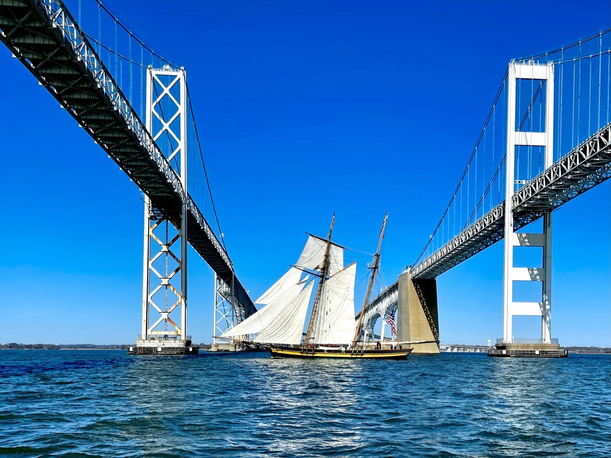 A tall ship sails between two bridges