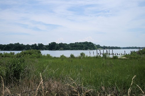 Patuxent River, site of Barney's Flotilla, from Jefferson Patterson Park in St. Leonards, Maryland