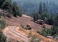 tractor restoring slope