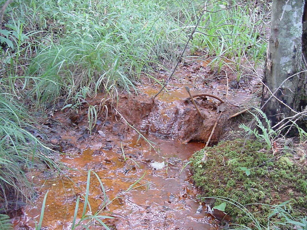 acid mine drainage