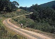 abandoned road