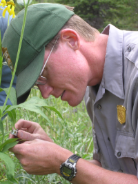 Inspecting ozone damage
