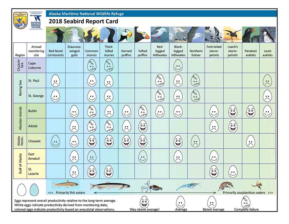 2018 seabird report card_web A graphic showing egg success by location and species for 2018.