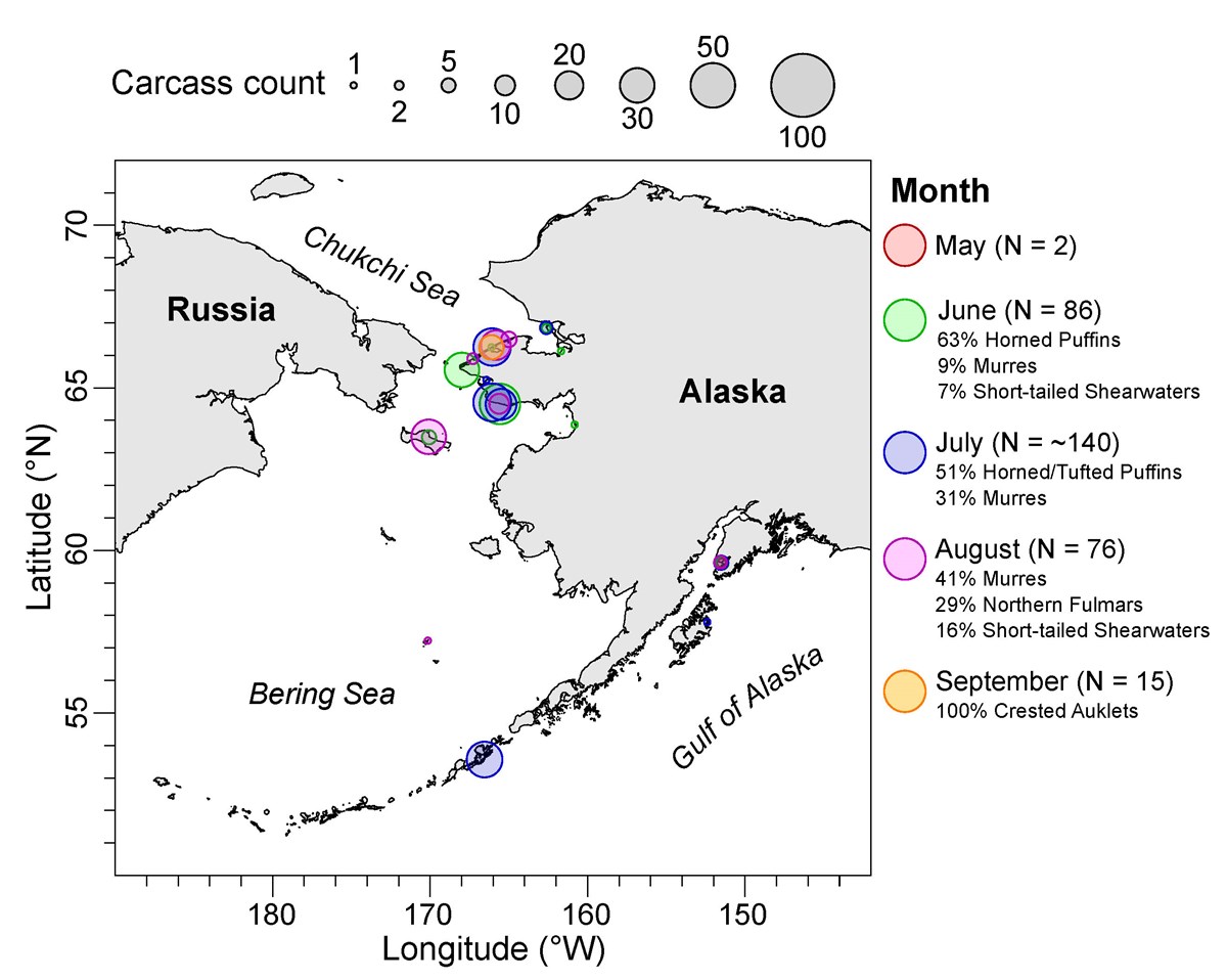 A map of Alaska showing the magnitude and extent of die-off events with proportions of species that had washed up on the beach.