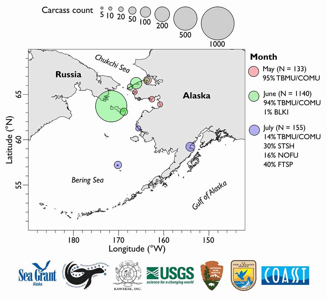 A map of Alaska's oceans and key to locations and number of dead seabirds found.