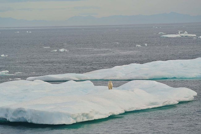 Sea ice in the Beaufort Sea.