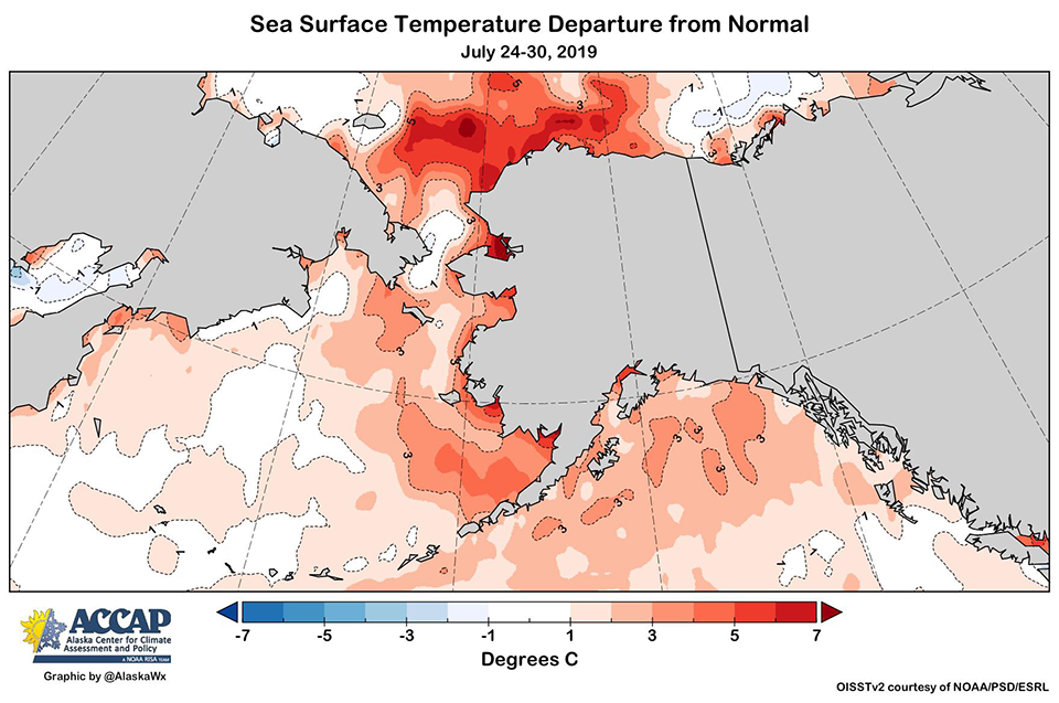 Map of Sea Surface Temperatures in Alaska. Alaska waters are 0-7 degrees Celsius above normal, warmest in northern seas.
