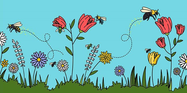 A cartoon of bees visiting flowers.