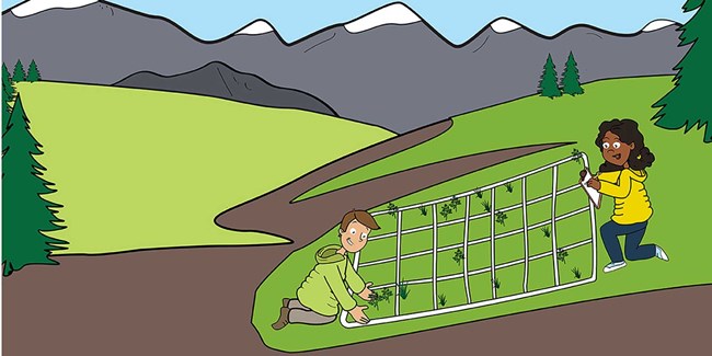 biodiversity recipe_web A cartoon of two people measuring vegetation in a grid plot.