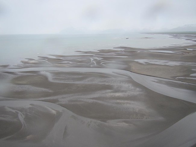 mudflat