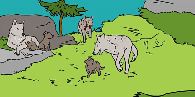 A cartoon of adult wolves and pups.