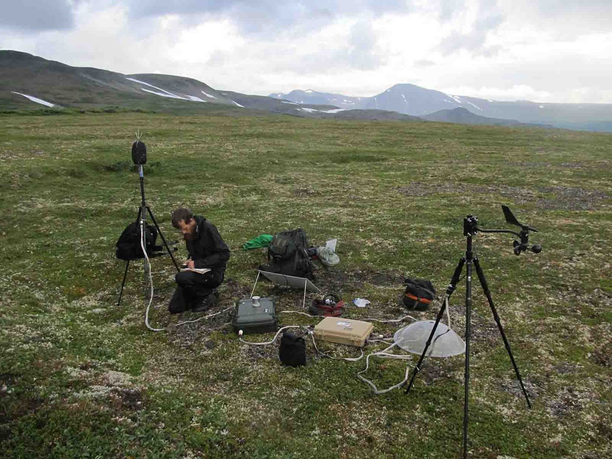 A researcher sets up sound recording equipment.
