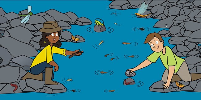 A cartoon of a boy and a girl exploring a stream with aquatic insects