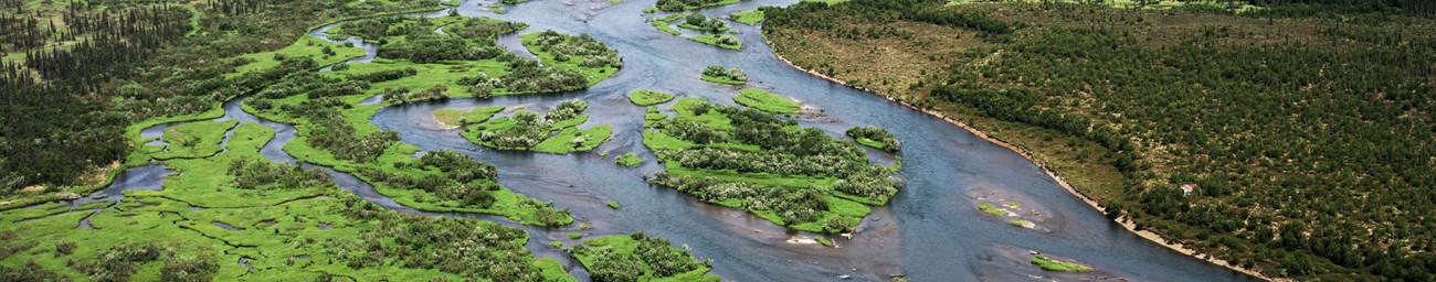 A section of the Alagnak River