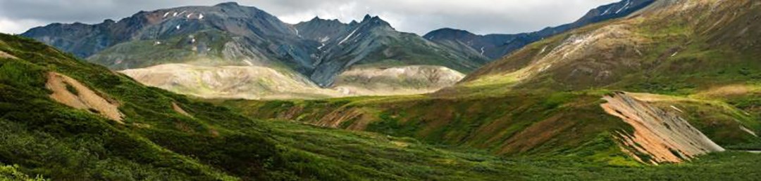 A lush, green picturesque view of mountains in Denali.
