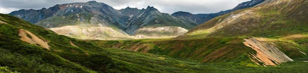 Mountains of Denali A lush, green picturesque view of mountains in Denali.