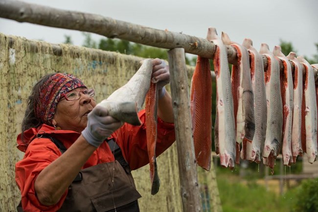 Hanging salmon