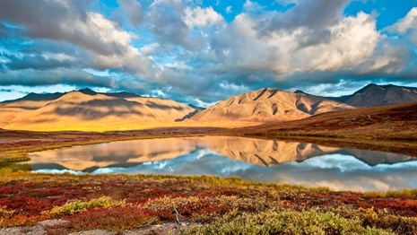 Sunny landscape with clouds