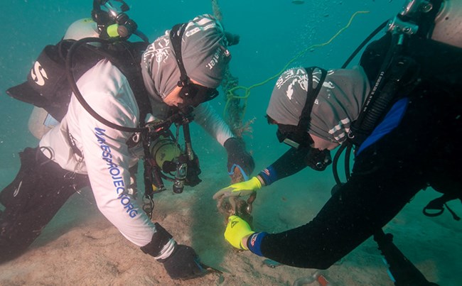 WAVES veterans help SRU archeologists