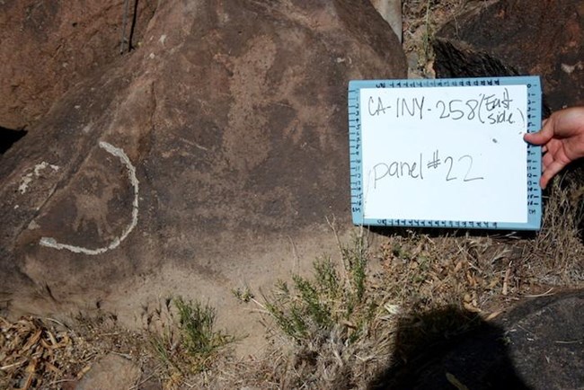 Attempted theft of bighorn sheep rock image from Death Valley NP