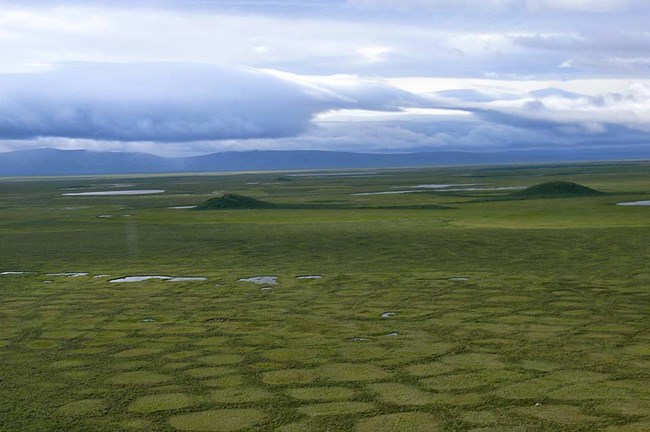 Arctic tundra with permafrost polygons and pingos.