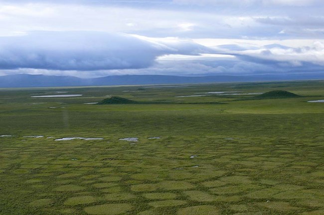 BELA_permafrost_pingos Arctic tundra with permafrost polygons and pingos.
