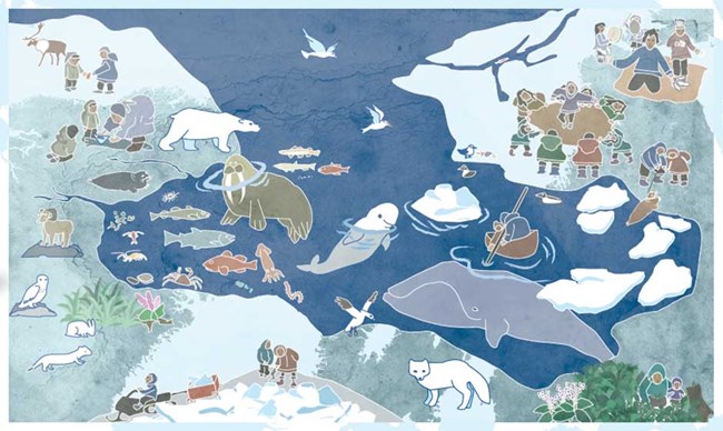 A drawing of the relationships between people and food in the Arctic.