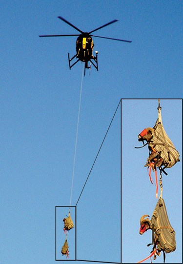 A helicopter carries two animals from a long cable