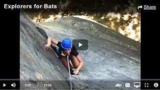 person climbs rock