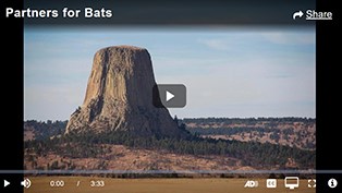 devils tower and surrounding landscape