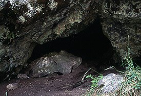 Bear den in cave