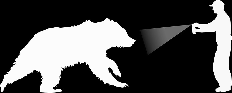 How to survive a bear encounter (and what to do if it all goes wrong), Wildlife