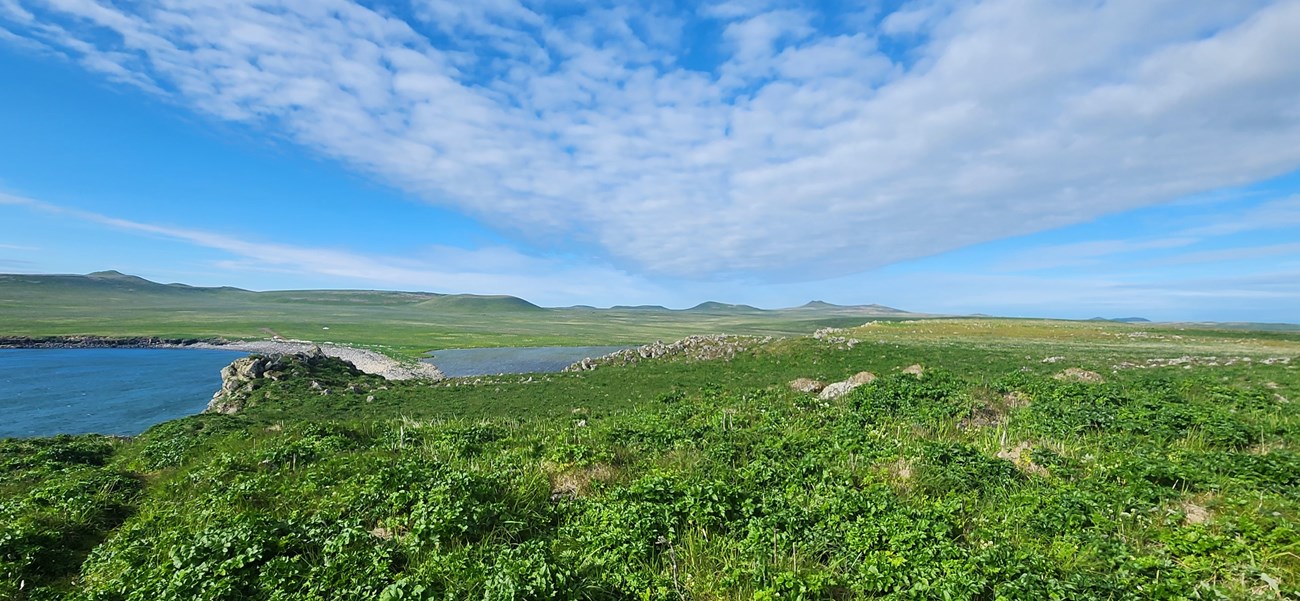coastal landscape with green grass on foreground and blue sky ebove