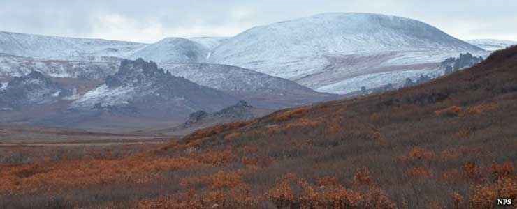 fall colors in Bering Land Bridge