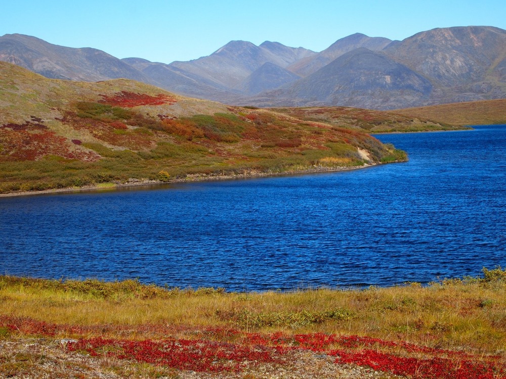 Blue lake and red tundra