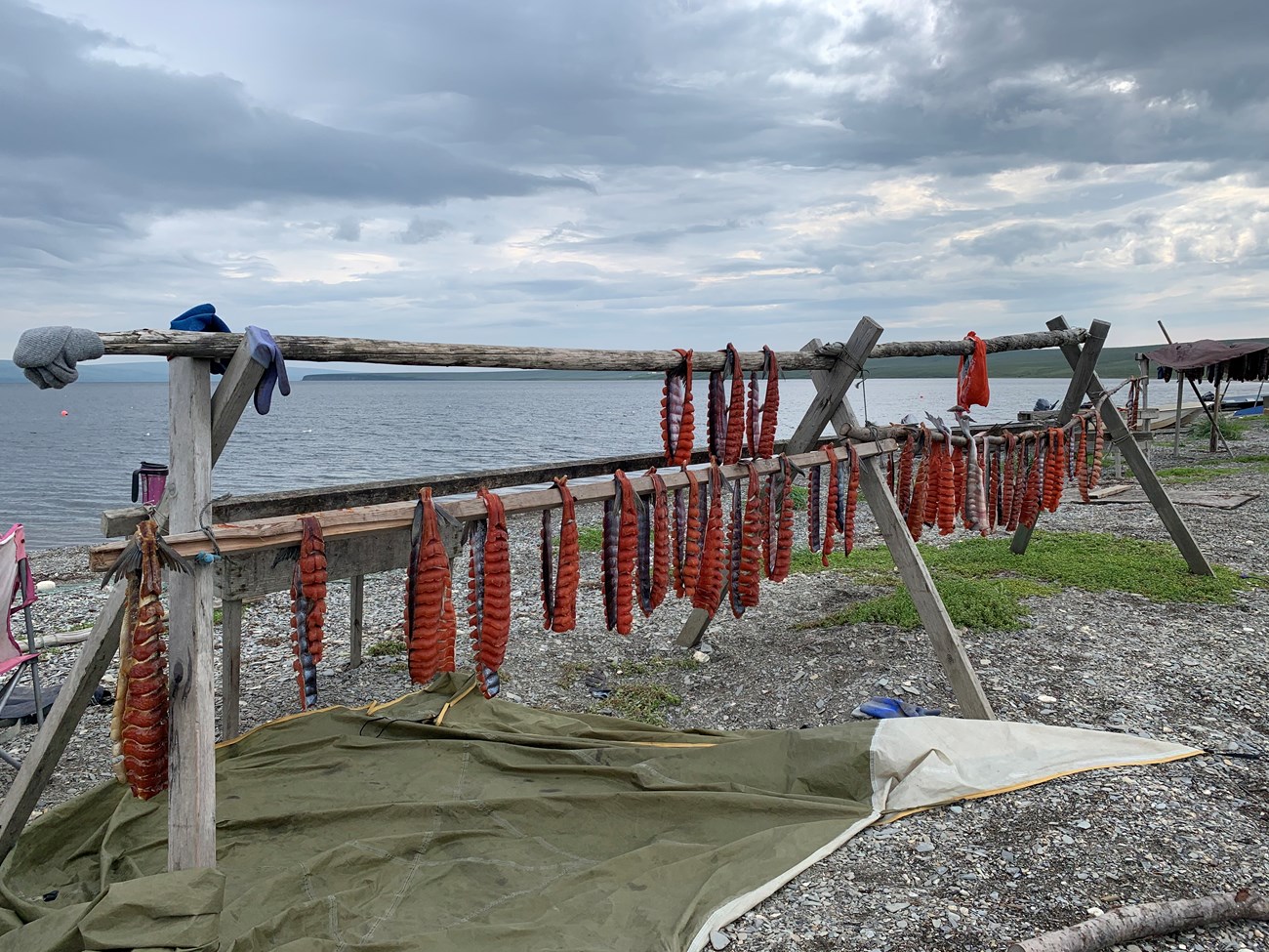 salmon is drying on salmon rack