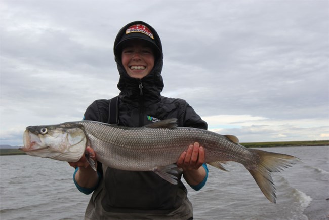 A researcher holding a large sheefish.