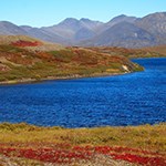 lake shore with tundra , fall
