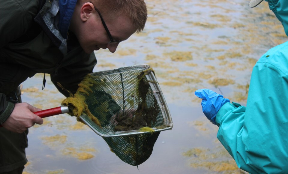 A scientist and student observing a sample of pond algae in Piscataway Park.