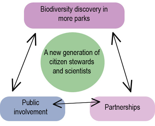 Call to Action Item 7 works by bringing the public of all ages and backgrounds together with NPS partners inside parks for biodiversity discovery events, in hopes to foster a appreciation in a new generation.