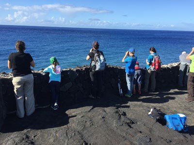 Bird inventory at the 2015 BioBlitz at Hawai’I Volcanoes National Park Bird inventory at the 2015 BioBlitz at Hawai’I Volcanoes National Park