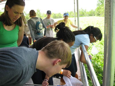 A bayou-blitz with kids looking over a metal railing at the 2013 BioBlitz at Jean Lafitte National Historical Park and Preserve. A bayou-blitz with kids looking over a metal railing at the 2013 BioBlitz at Jean Lafitte National Historical Park and Preserve.